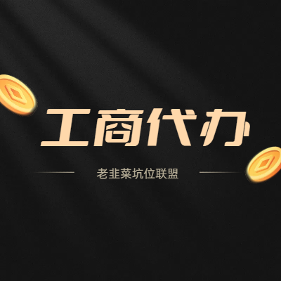 代办个体工商户营业执照-电商版-老韭菜正版小程序坑位SaaS账号代理供货平台