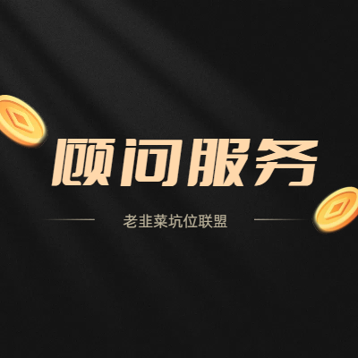 网络项目/网络技术顾问服务-老韭菜正版小程序坑位SaaS账号代理供货平台